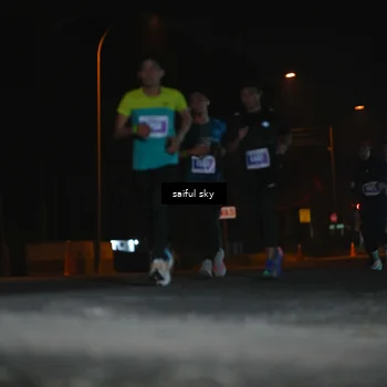 Runner Photo 4524031