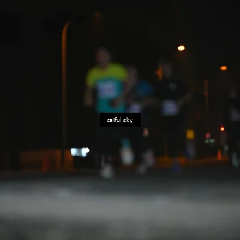 Runner Photo 4524032