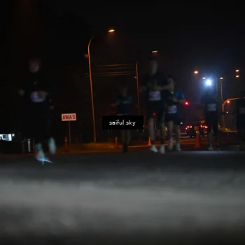Runner Photo 4524034