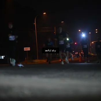 Runner Photo 4524036
