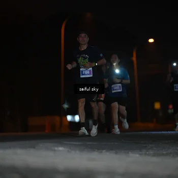 Runner Photo 4524038