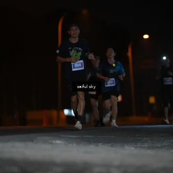 Runner Photo 4524042