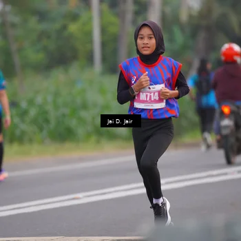 Runner Photo 4524045