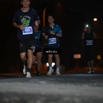 Runner Photo 4524048