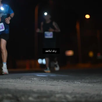 Runner Photo 4524052