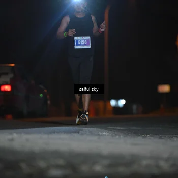 Runner Photo 4524054