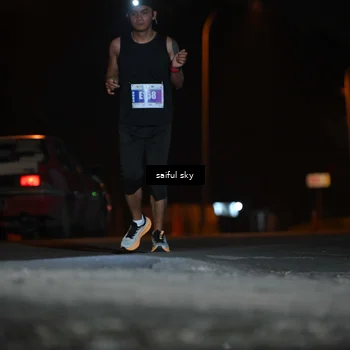 Runner Photo 4524055