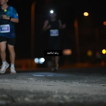 Runner Photo 4524061