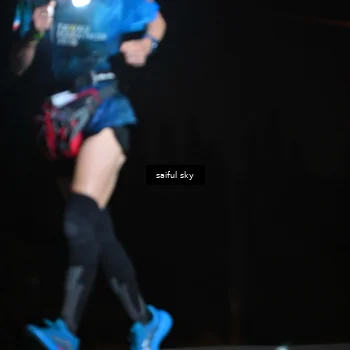 Runner Photo 4524074