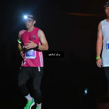 Runner Photo 4524084