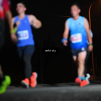 Runner Photo 4524149