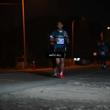 Runner Photo 4524171