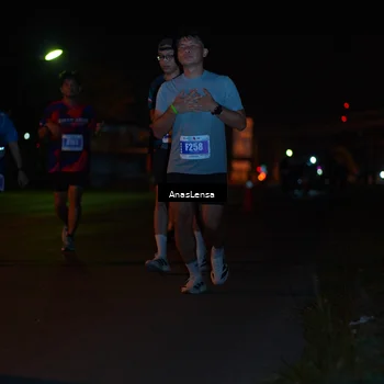Runner Photo 4524176