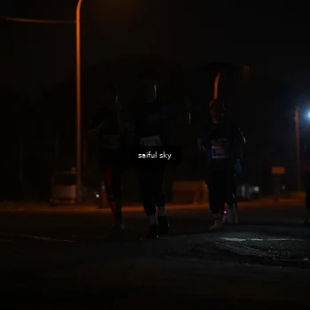 Runner Photo 4524191