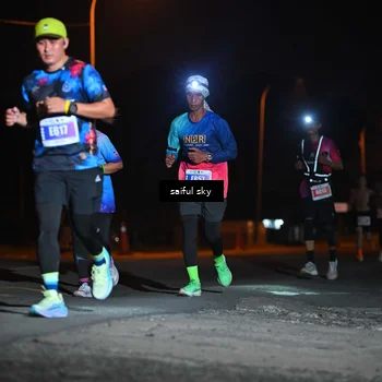 Runner Photo 4524198