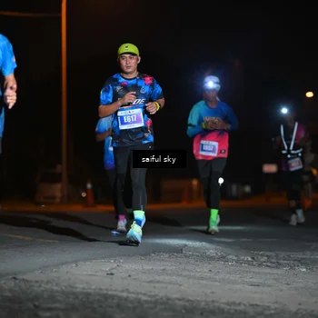Runner Photo 4524201