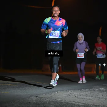 Runner Photo 4524237