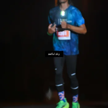 Runner Photo 4524356