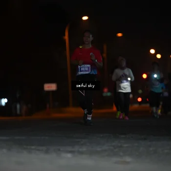 Runner Photo 4524453