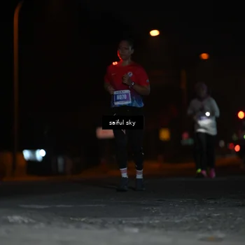 Runner Photo 4524454