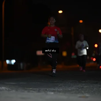Runner Photo 4524455