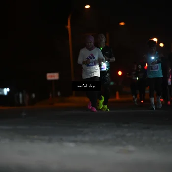 Runner Photo 4524461