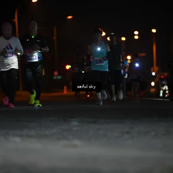 Runner Photo 4524467