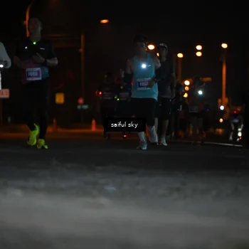 Runner Photo 4524468