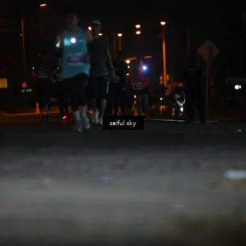 Runner Photo 4524470