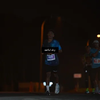 Runner Photo 4524632