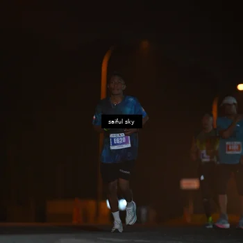 Runner Photo 4524633