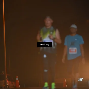 Runner Photo 4524648