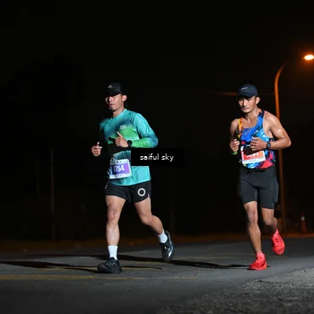 Runner Photo 4524708