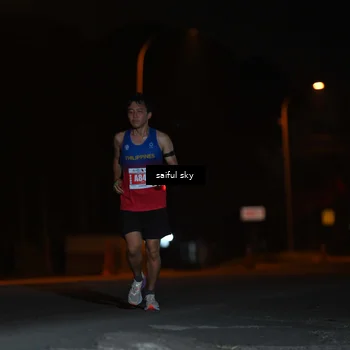 Runner Photo 4524761