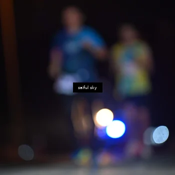 Runner Photo 4524847