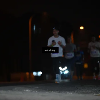 Runner Photo 4524851