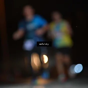 Runner Photo 4524852