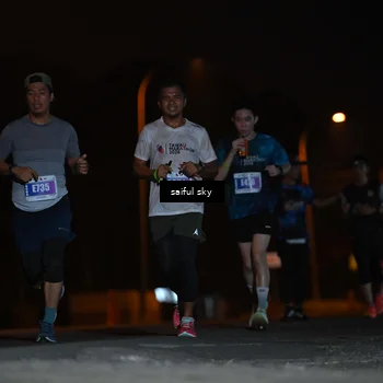 Runner Photo 4524861