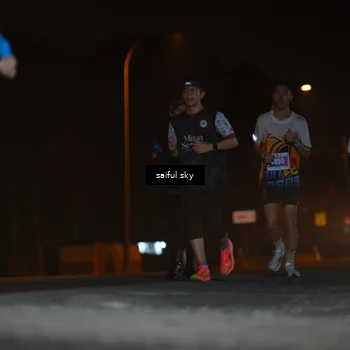 Runner Photo 4524871