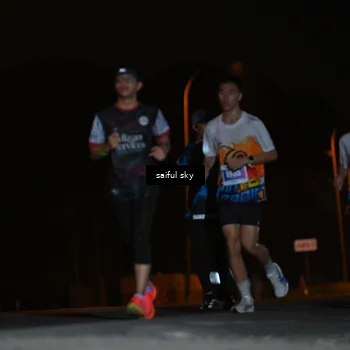 Runner Photo 4524875