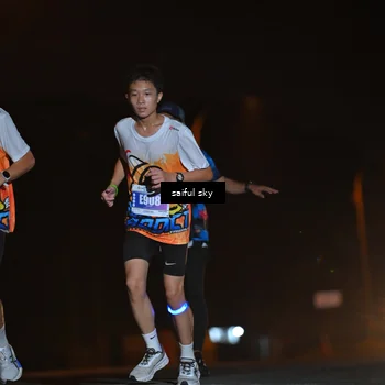 Runner Photo 4524881