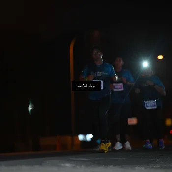 Runner Photo 4524933