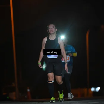 Runner Photo 4525008