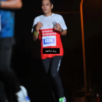 Runner Photo 4525041