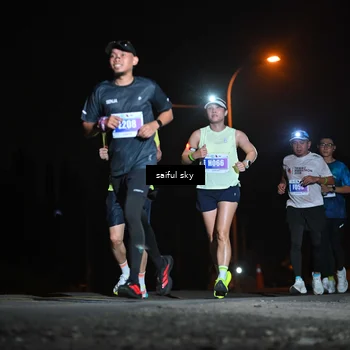 Runner Photo 4525334