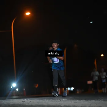 Runner Photo 4525386