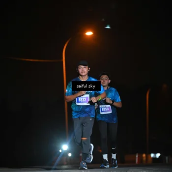 Runner Photo 4525387