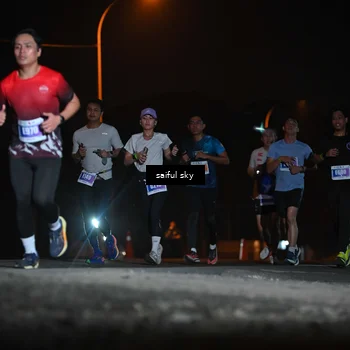 Runner Photo 4525407
