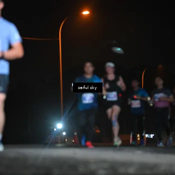 Runner Photo 4525419