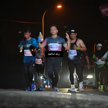 Runner Photo 4525428
